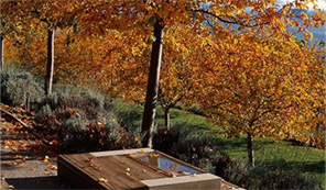 永利集团有限公司办公环境